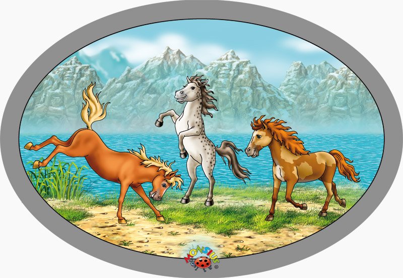 Three wild horses carpet